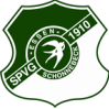 SV索尼克斯 vs VfB洪贝格
