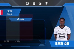 法国二门桑巴集锦：反应速度快的当代进攻型清道夫门将