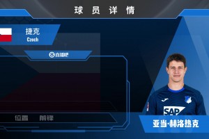 霍村前锋赫洛热克集锦：身强力壮的捷克锋线多面手