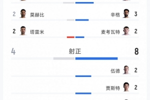 伊朗对阵新西兰全场数据：射门17-14，射正4-8，得分机会3-2